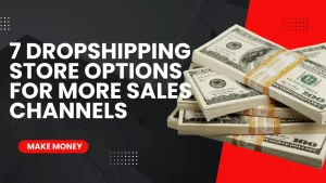Read more about the article 7 Dropshipping Store Options for More Sales Channels